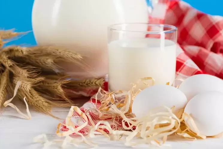 Αυγά και γάλα για δίαιτα κατανάλωσης